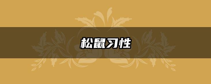 松鼠习性