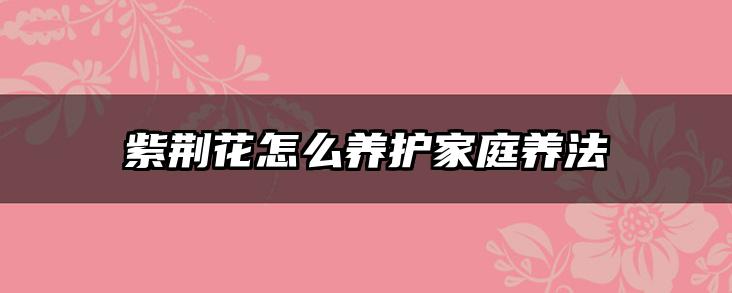 紫荆花怎么养护家庭养法