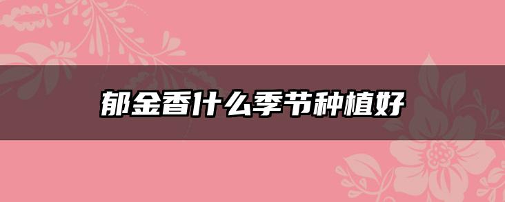 郁金香什么季节种植好