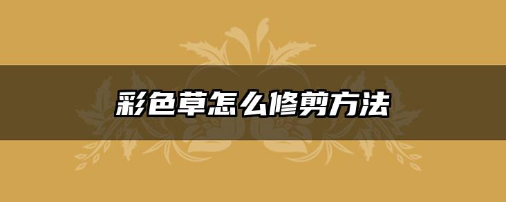 彩色草怎么修剪方法