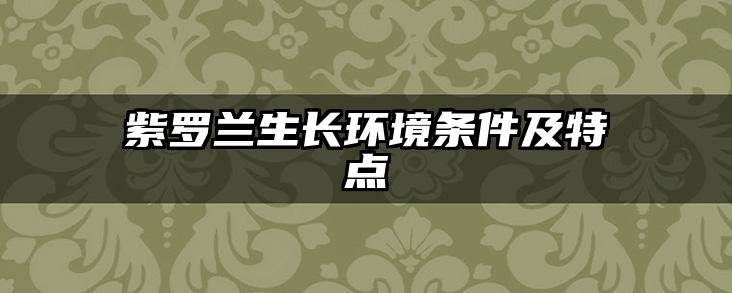 紫罗兰生长环境条件及特点