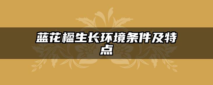 蓝花楹生长环境条件及特点