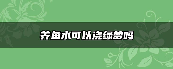 养鱼水可以浇绿萝吗