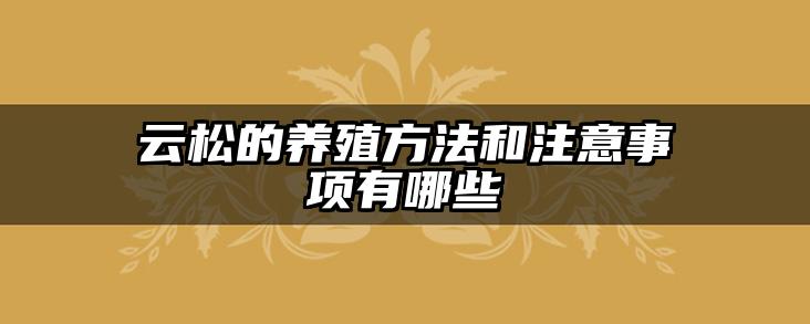 云松的养殖方法和注意事项有哪些