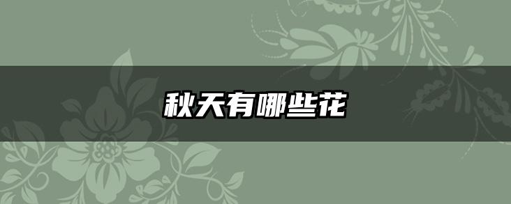 秋天有哪些花