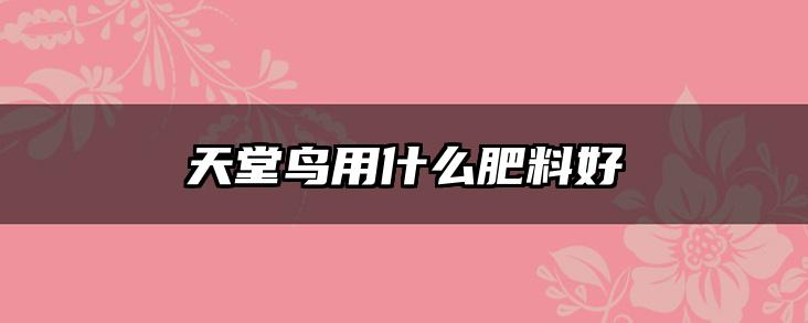 天堂鸟用什么肥料好
