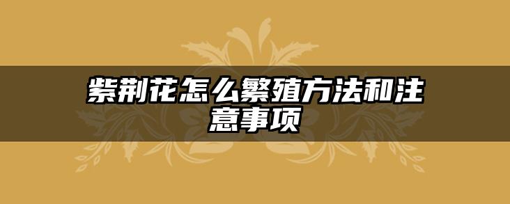 紫荆花怎么繁殖方法和注意事项