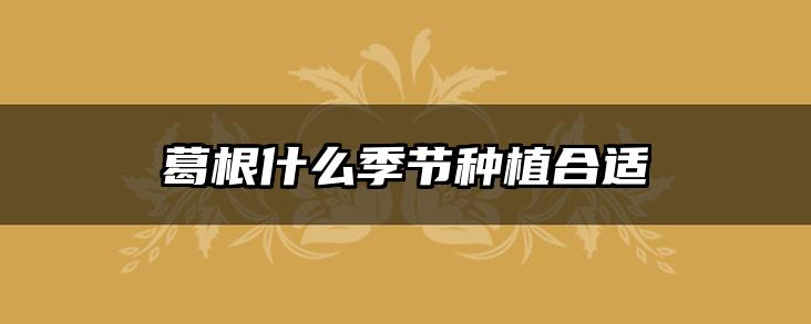 葛根什么季节种植合适