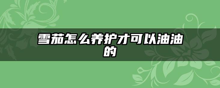 雪茄怎么养护才可以油油的