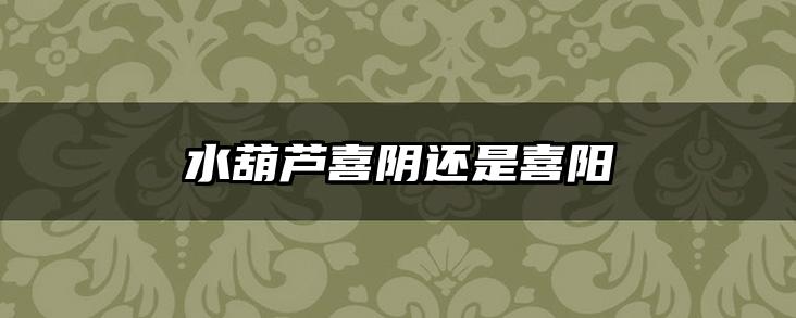 水葫芦喜阴还是喜阳