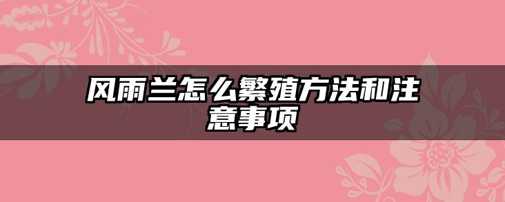 风雨兰怎么繁殖方法和注意事项