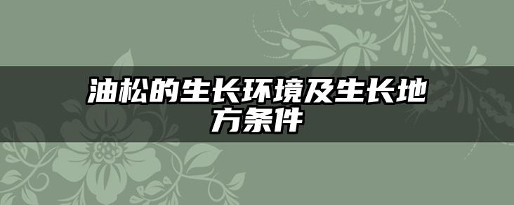 油松的生长环境及生长地方条件