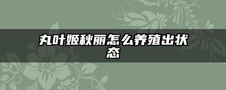 丸叶姬秋丽怎么养殖出状态