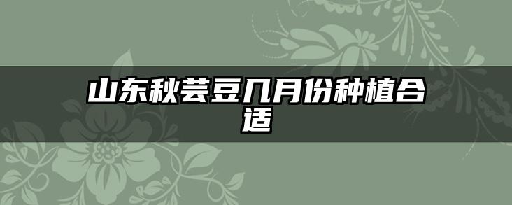 山东秋芸豆几月份种植合适