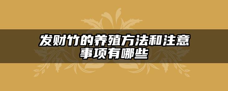 发财竹的养殖方法和注意事项有哪些