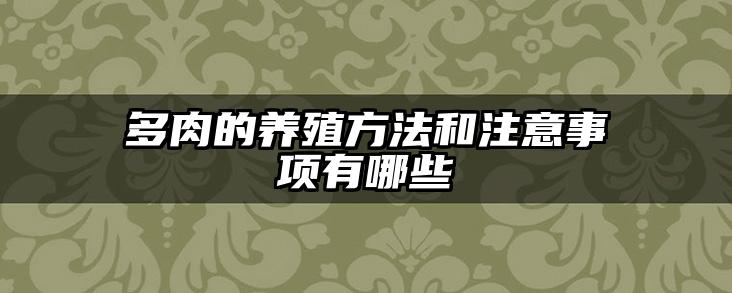 多肉的养殖方法和注意事项有哪些
