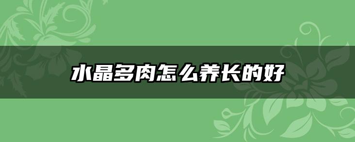 水晶多肉怎么养长的好