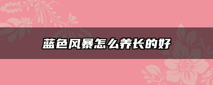 蓝色风暴怎么养长的好