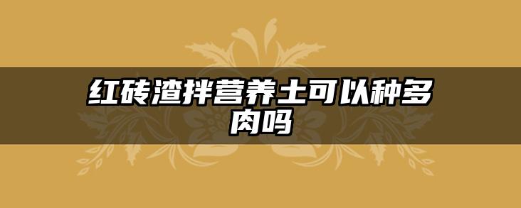红砖渣拌营养土可以种多肉吗