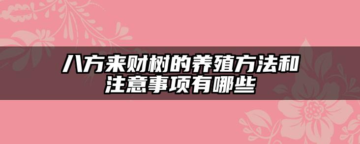 八方来财树的养殖方法和注意事项有哪些