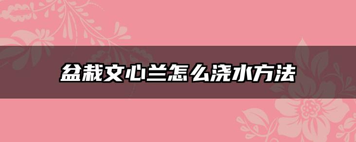 盆栽文心兰怎么浇水方法