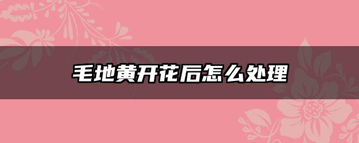 毛地黄开花后怎么处理