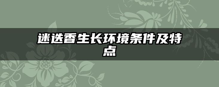 迷迭香生长环境条件及特点