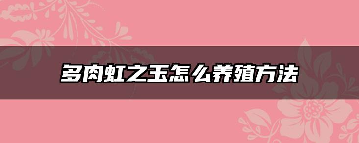 多肉虹之玉怎么养殖方法