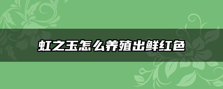 虹之玉怎么养殖出鲜红色