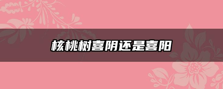 核桃树喜阴还是喜阳