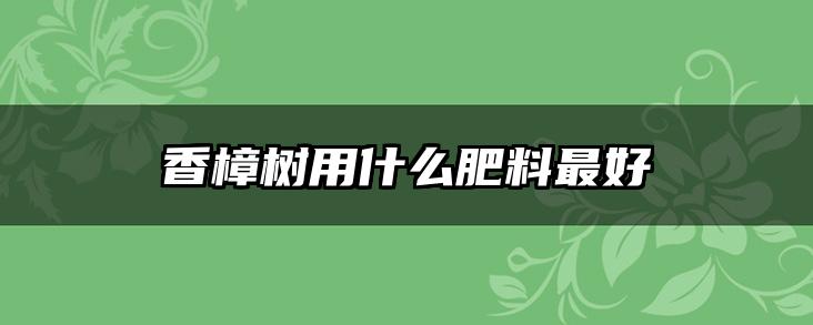 香樟树用什么肥料最好