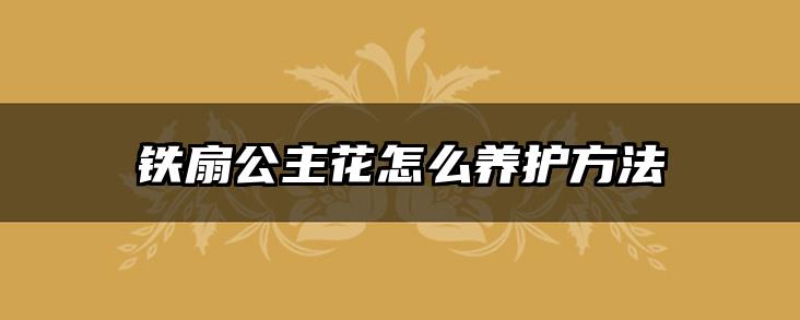 铁扇公主花怎么养护方法