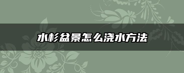 水杉盆景怎么浇水方法