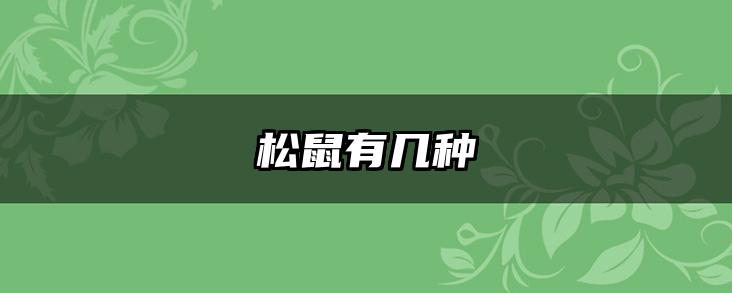 松鼠有几种