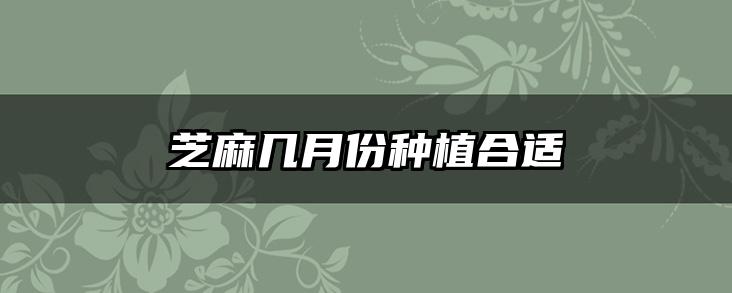 芝麻几月份种植合适