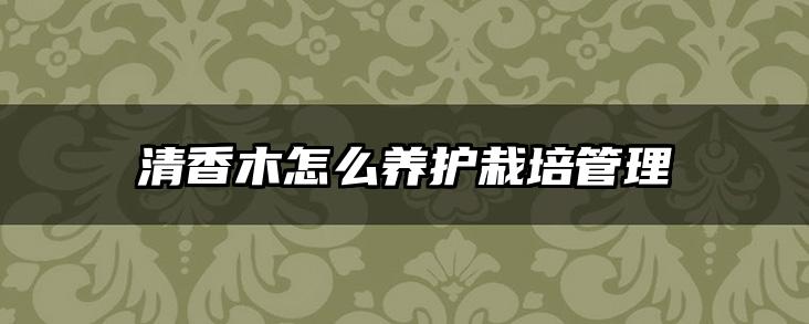 清香木怎么养护栽培管理