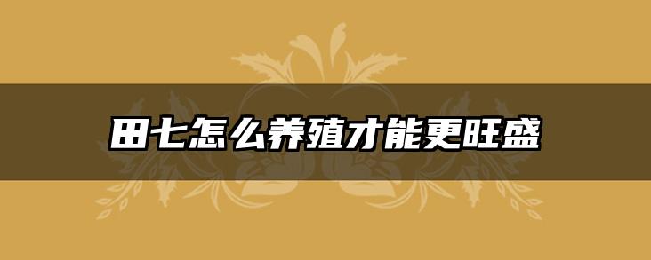 田七怎么养殖才能更旺盛