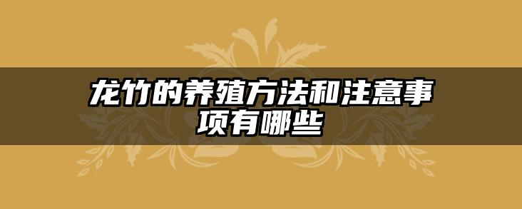 龙竹的养殖方法和注意事项有哪些