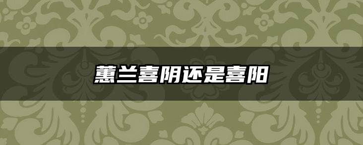 蕙兰喜阴还是喜阳