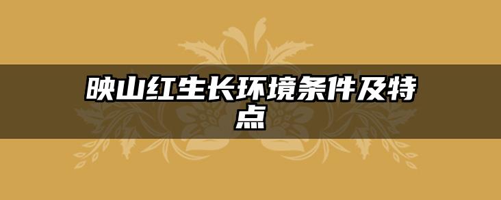 映山红生长环境条件及特点