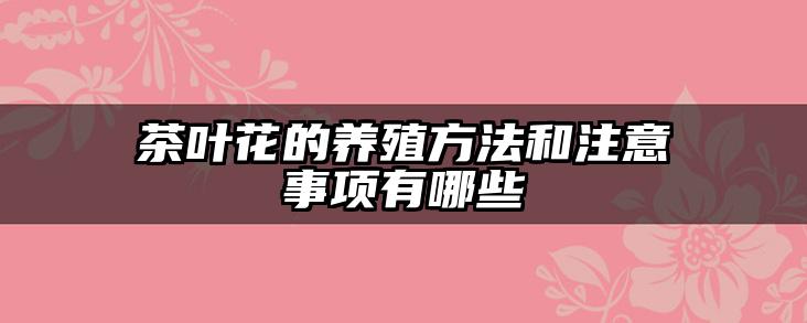 茶叶花的养殖方法和注意事项有哪些