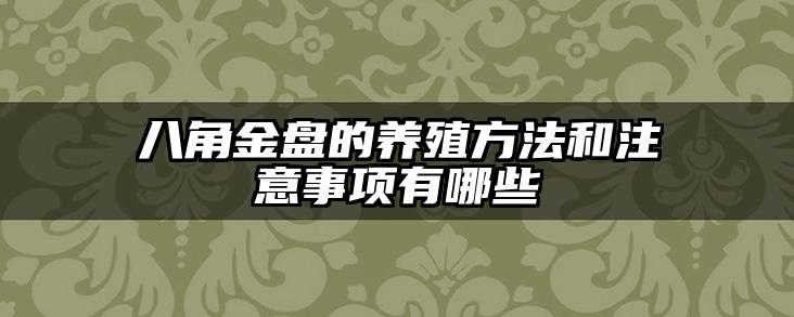 八角金盘的养殖方法和注意事项有哪些
