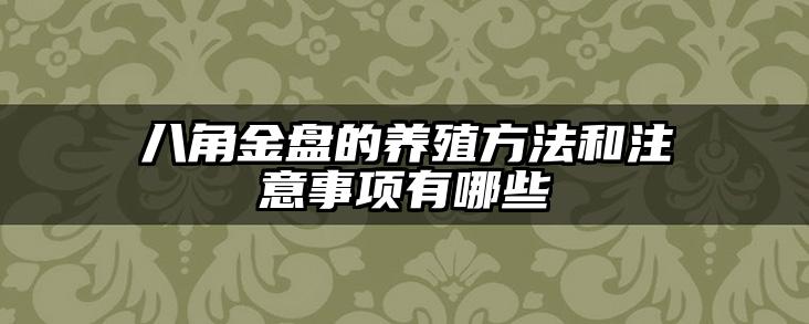 八角金盘的养殖方法和注意事项有哪些