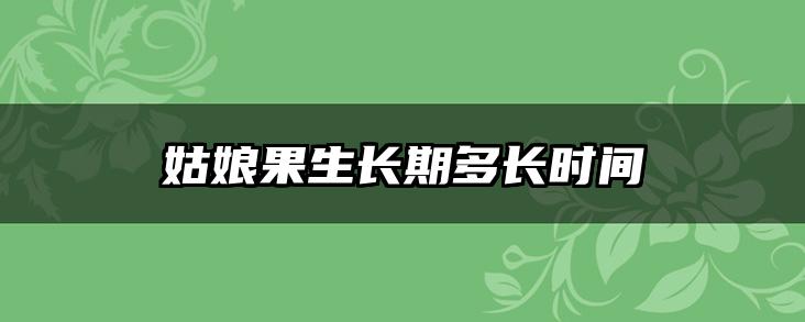 姑娘果生长期多长时间