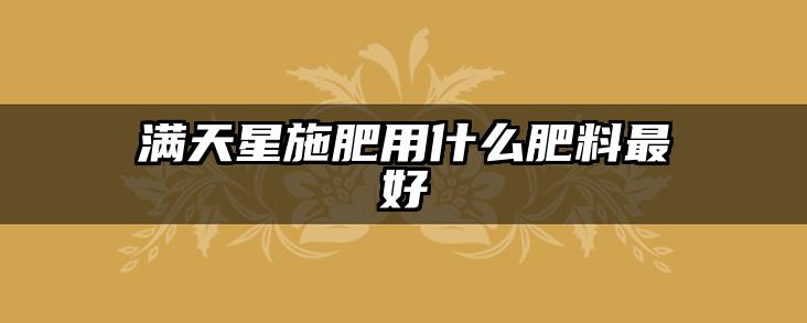 满天星施肥用什么肥料最好