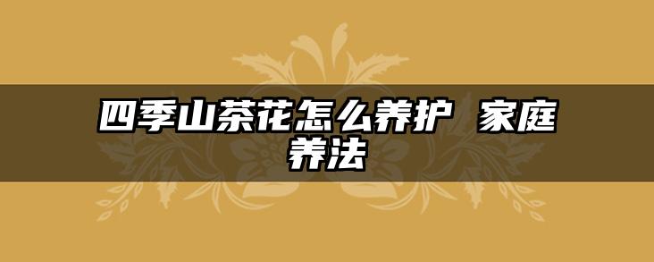 四季山茶花怎么养护 家庭养法