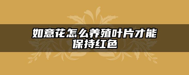 如意花怎么养殖叶片才能保持红色