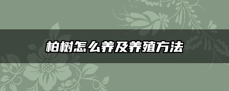 柏树怎么养及养殖方法