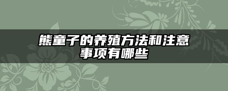 熊童子的养殖方法和注意事项有哪些