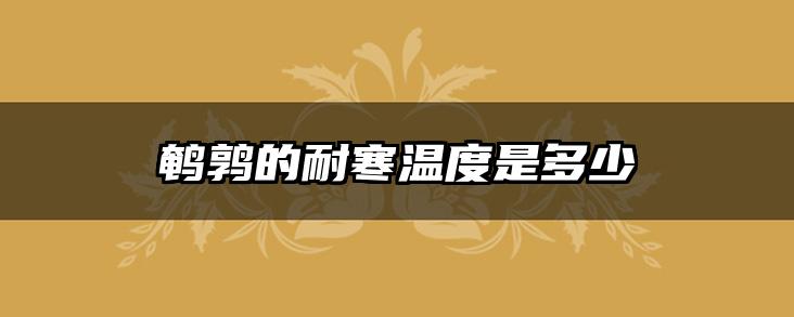 鹌鹑的耐寒温度是多少